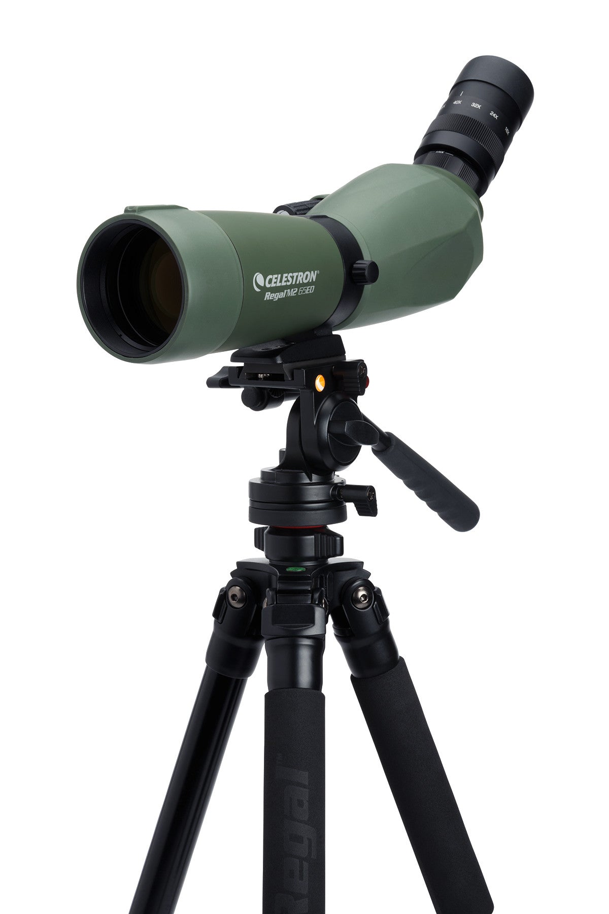 Regal M2 16-48x65mm ED Angled Zoom Spotting Scope