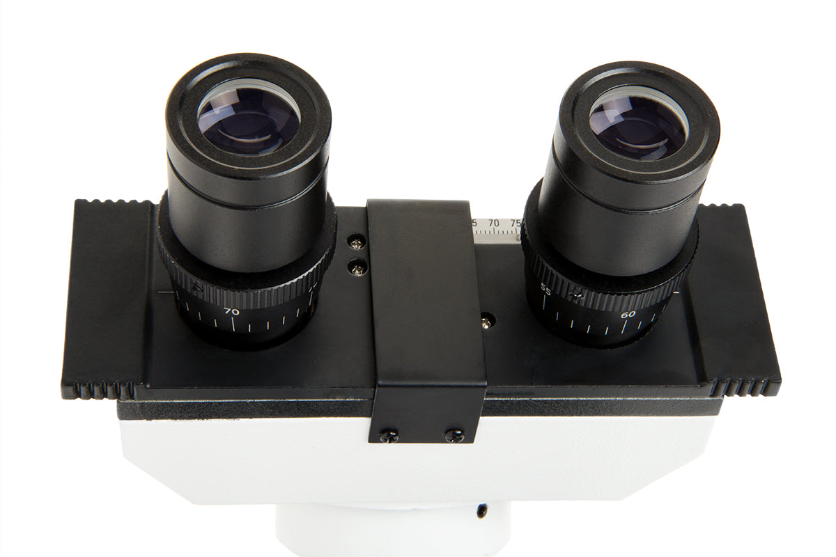 Celestron Labs CB1000CF Compound Microscope