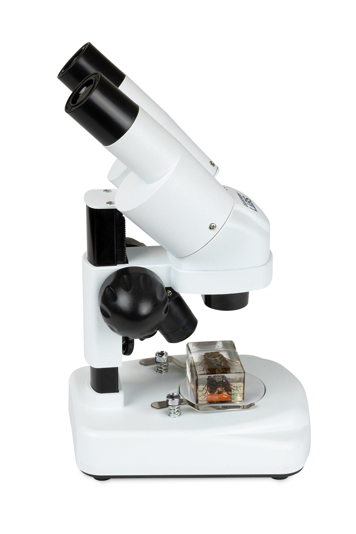 Celestron Labs S20 Angled Stereo Microscope