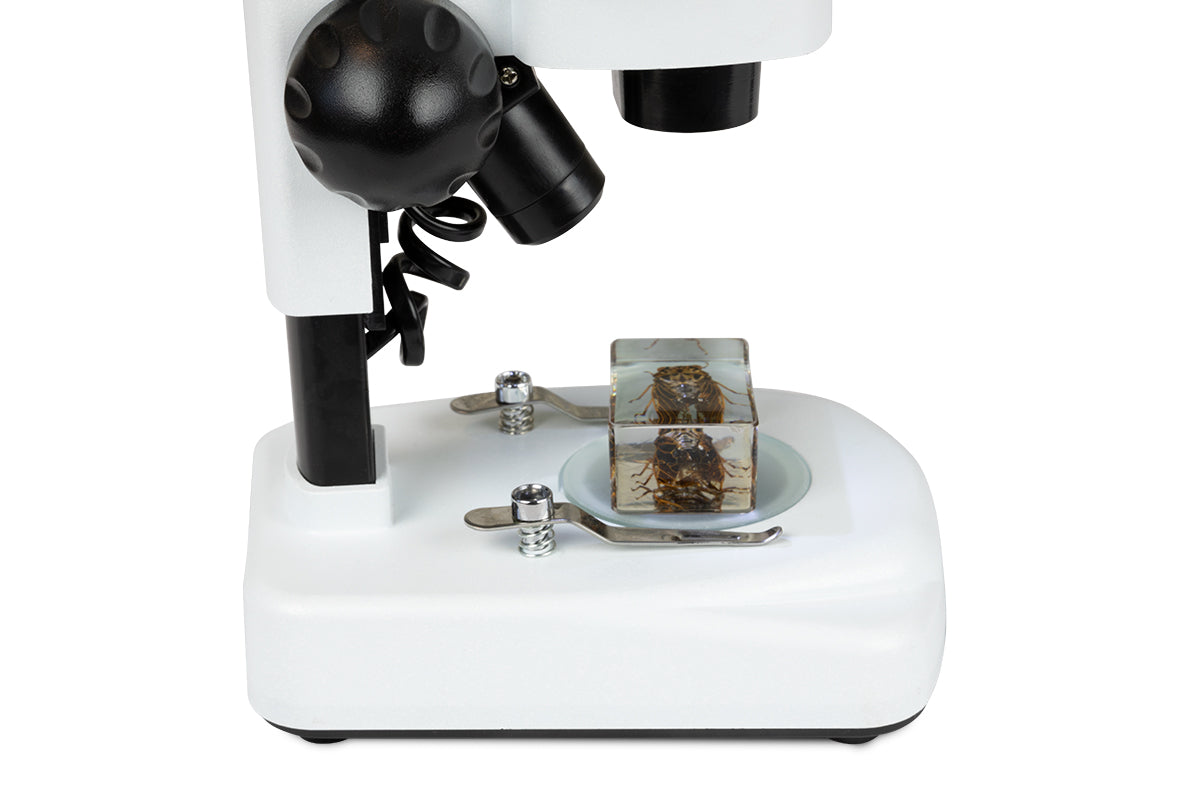 Celestron Labs S20 Angled Stereo Microscope