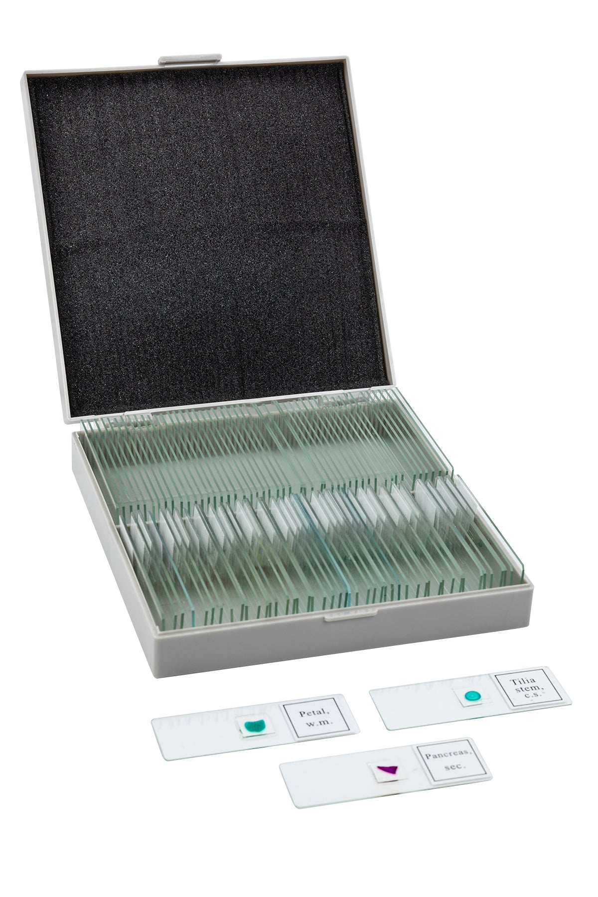 TetraView LCD Digital Microscope with 100 Slide Kit