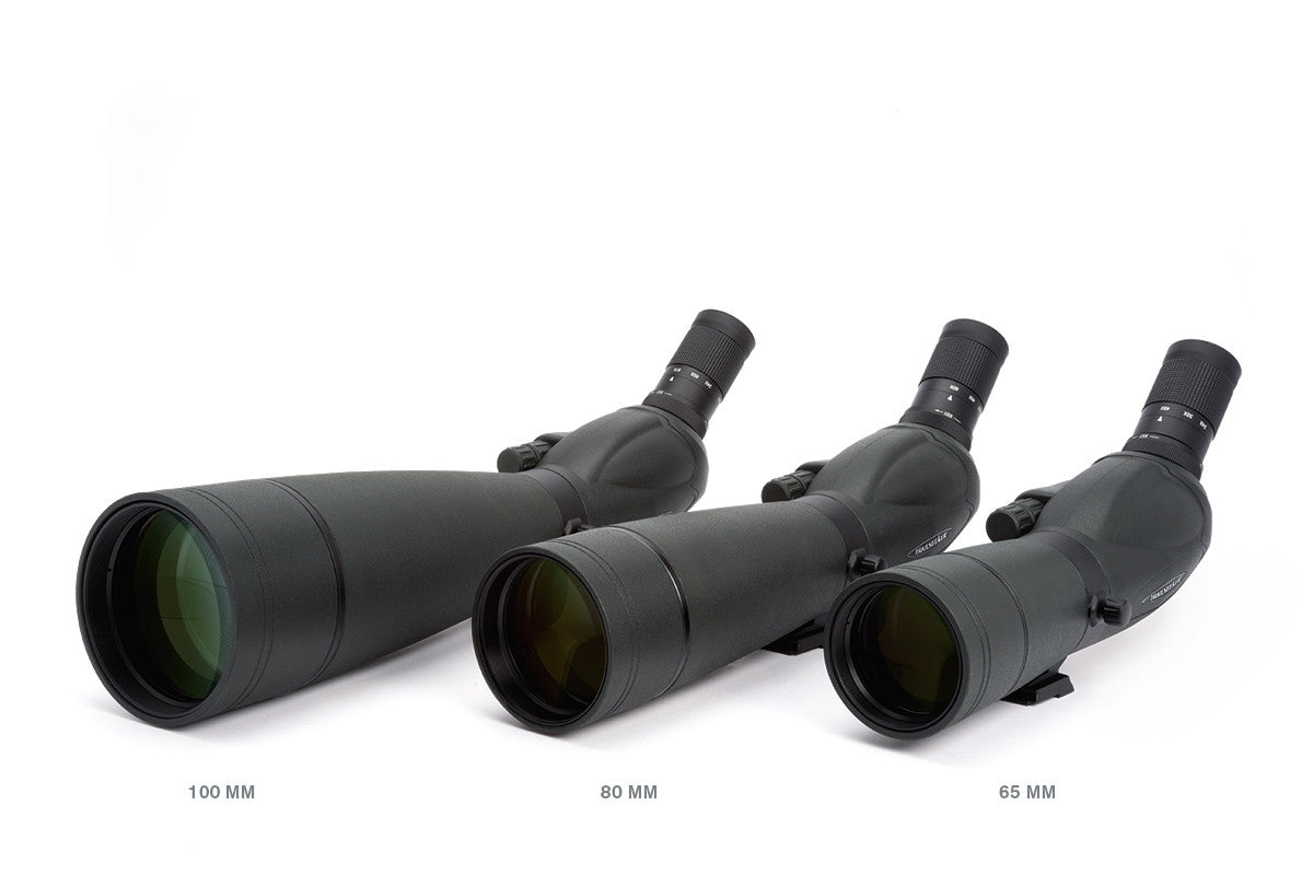 TrailSeeker 20-60x80mm Angled Zoom Spotting Scope