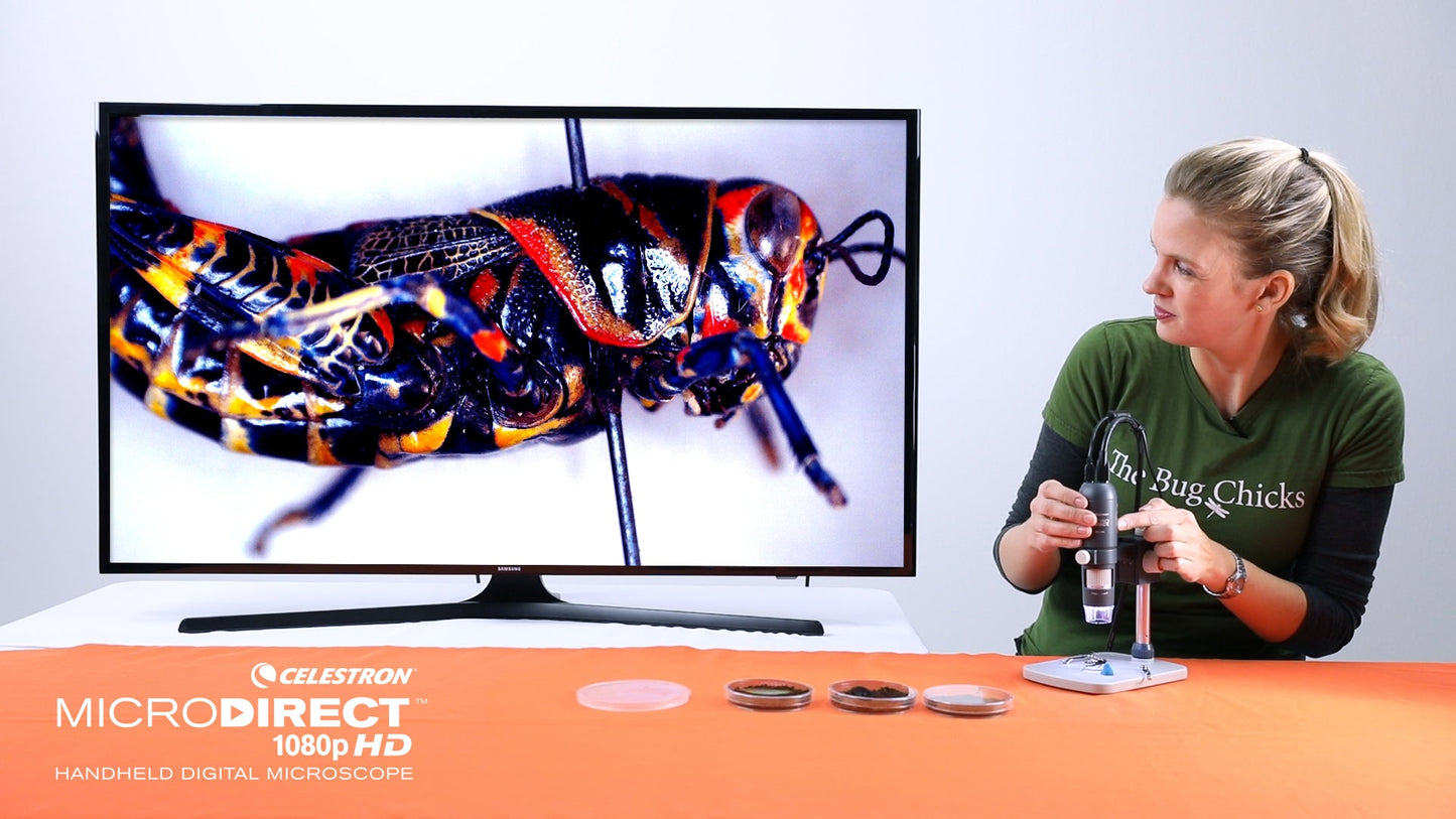 MicroDirect 1080P HDMI Handheld Digital Microscope