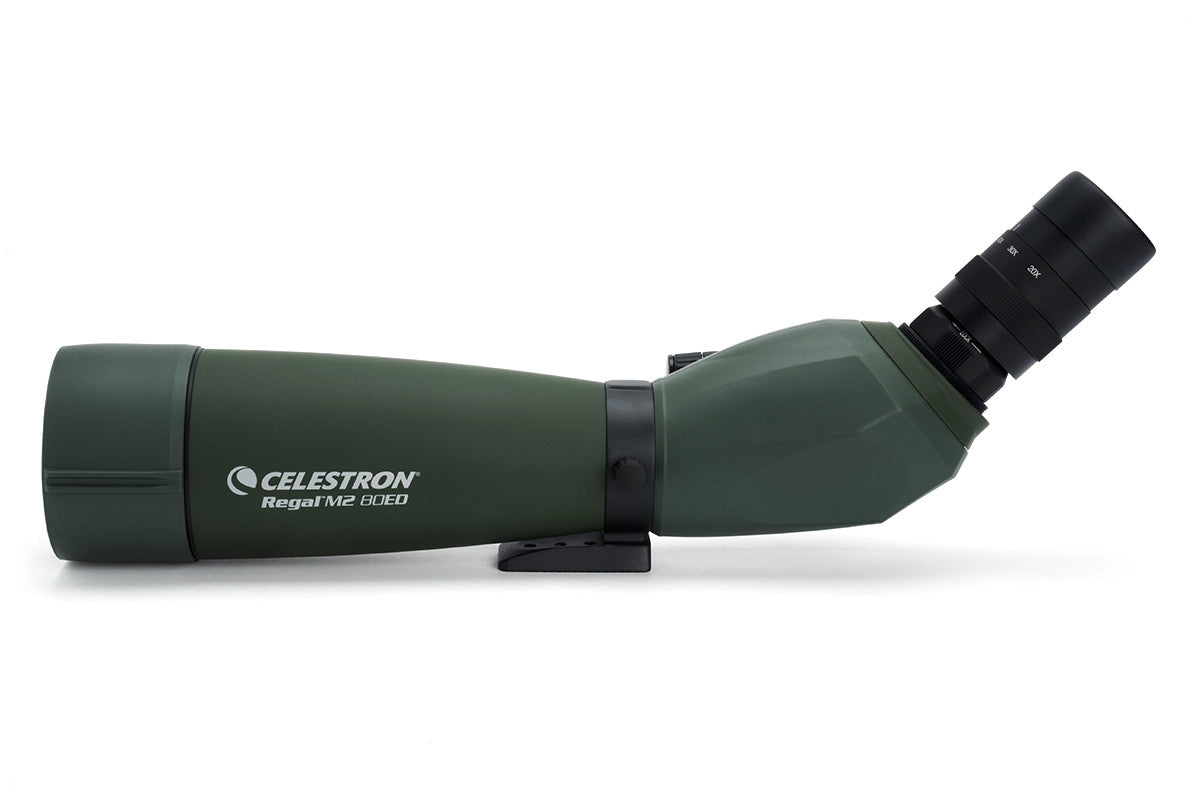 Regal M2 20-60x80mm ED Angled Zoom Spotting Scope