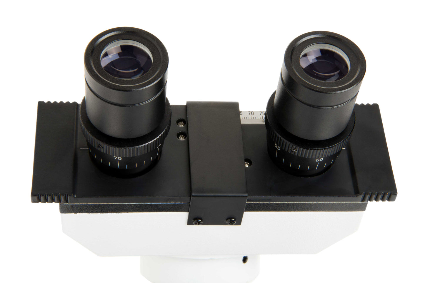 Celestron Labs CB2000CF Compound Microscope