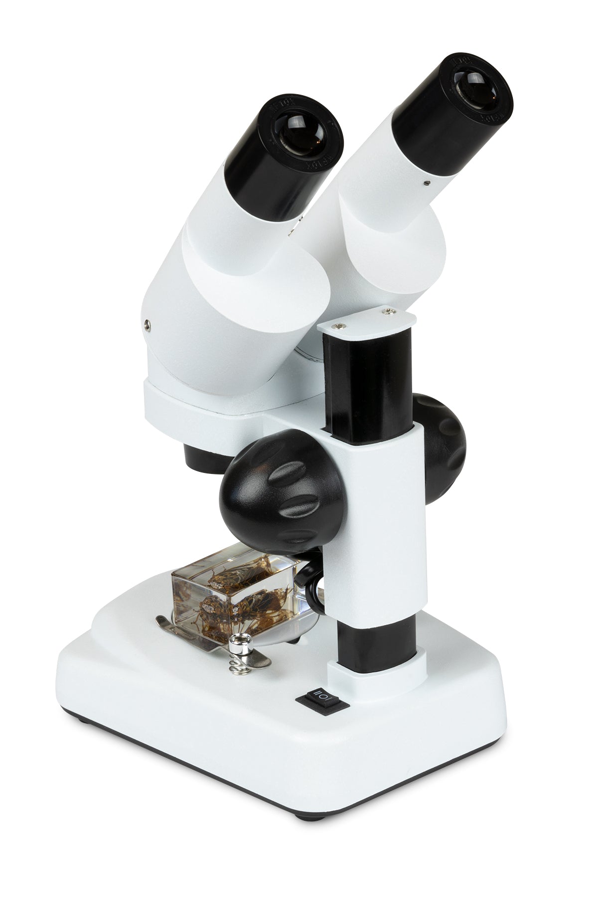 Celestron Labs S20 Angled Stereo Microscope