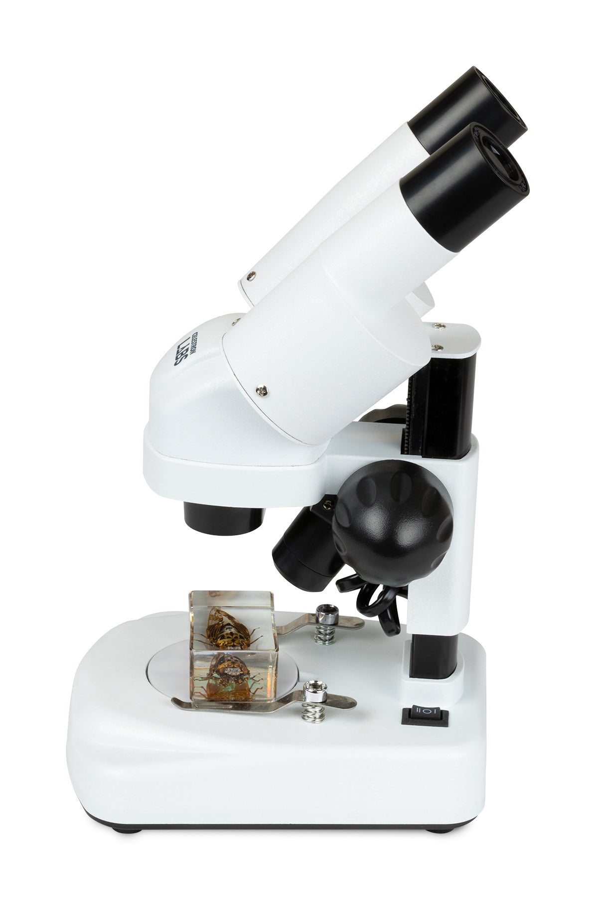 Celestron Labs S20 Angled Stereo Microscope