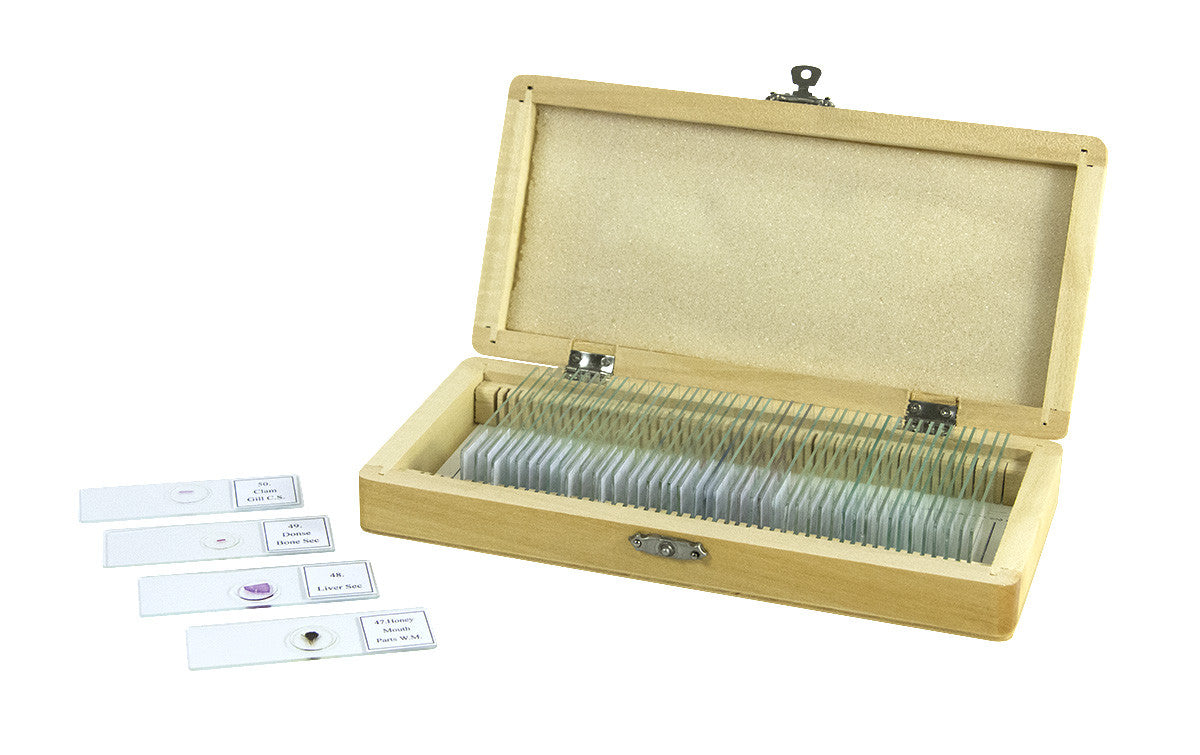 50 Piece Prepared Specimen Slide Kit