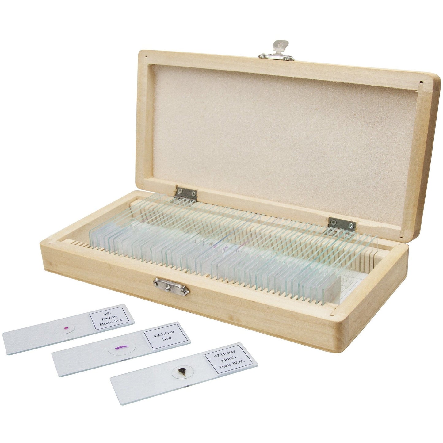 50 Piece Prepared Specimen Slide Kit